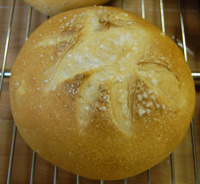 bread portrait